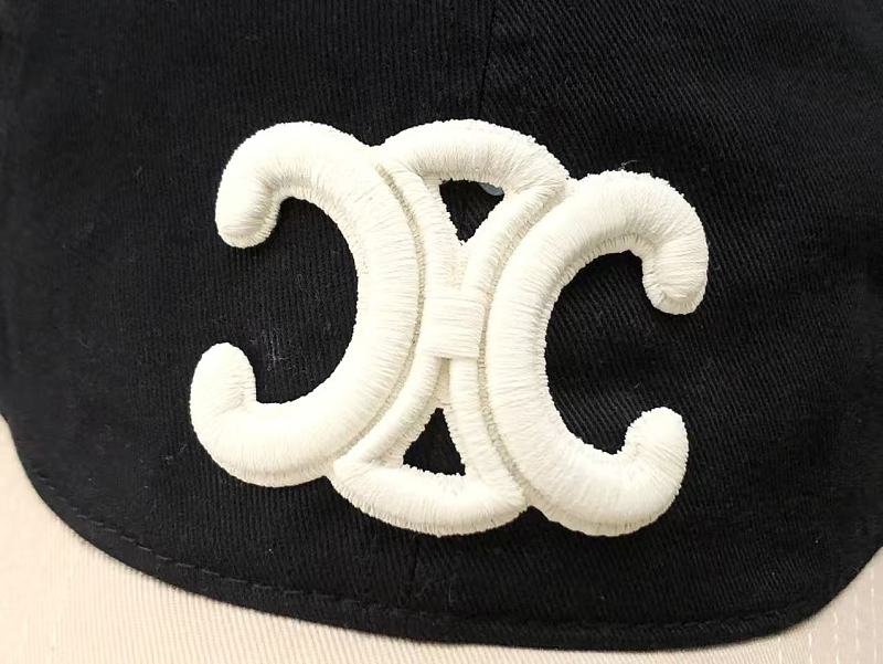 C Li E Cap 11