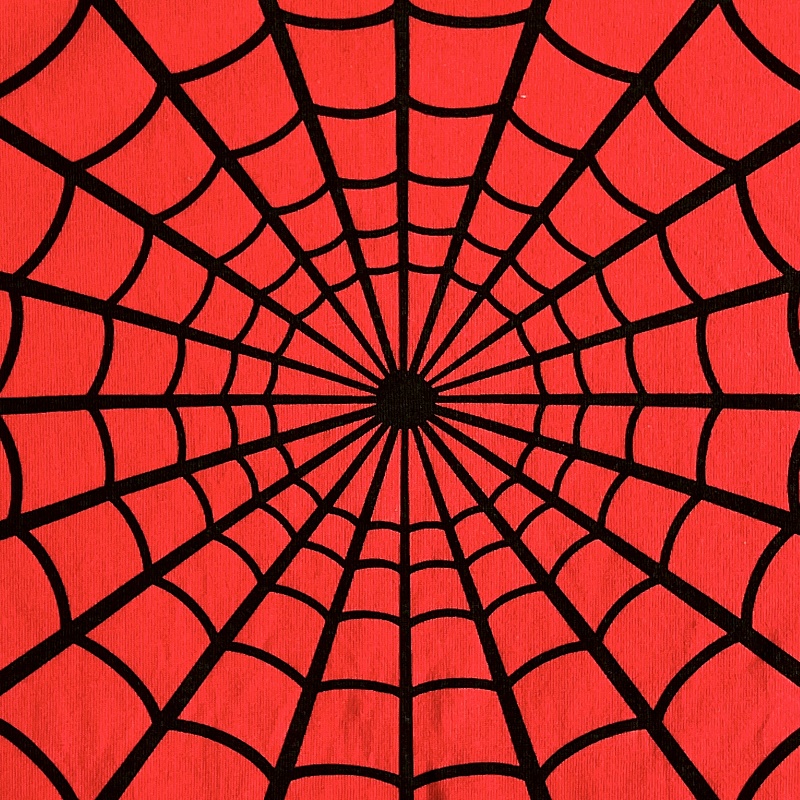Sup Spider Tee 10