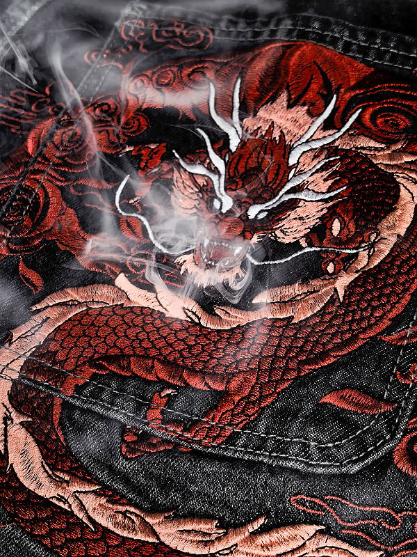 Mobius Dragon Jorts 5