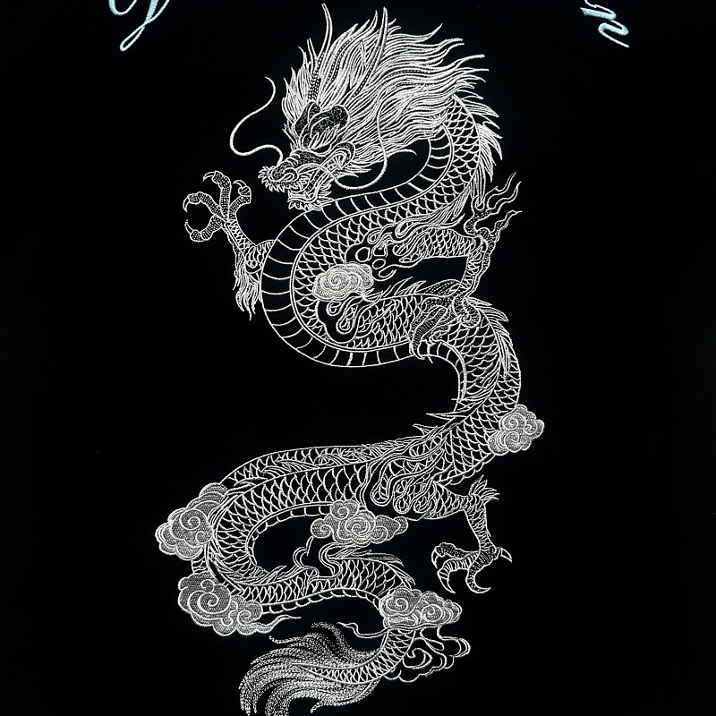 Boxy Dragon Embroidery Polo 4