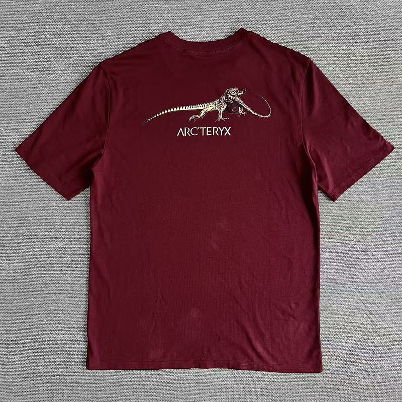 Vintage Arcteryx Retro Tee 7