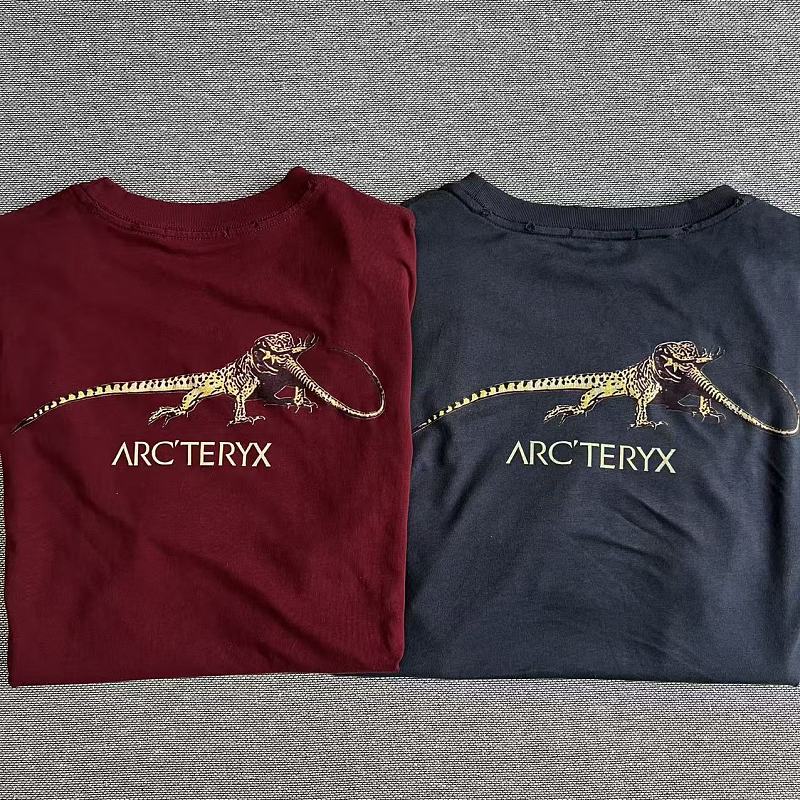 Vintage Arcteryx Retro Tee 4