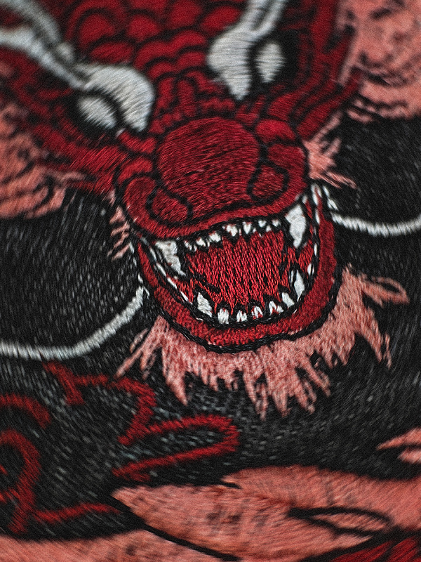 Mobius Dragon Jorts 7