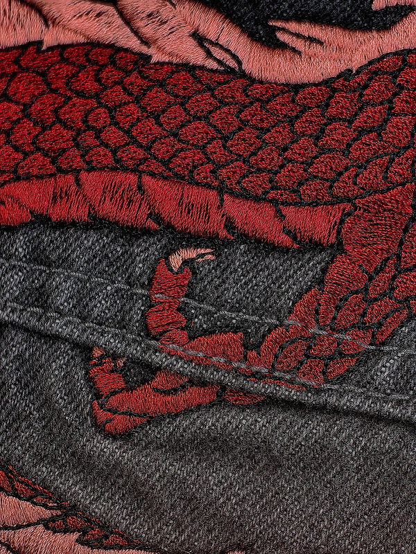 Mobius Dragon Jorts 8