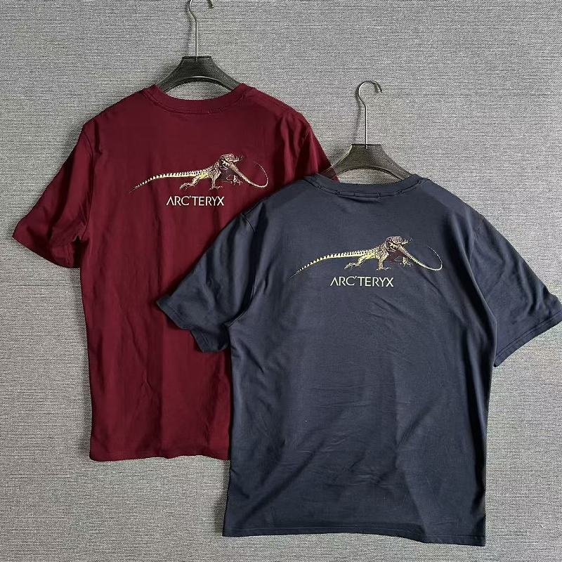 Vintage Arcteryx Retro Tee 3