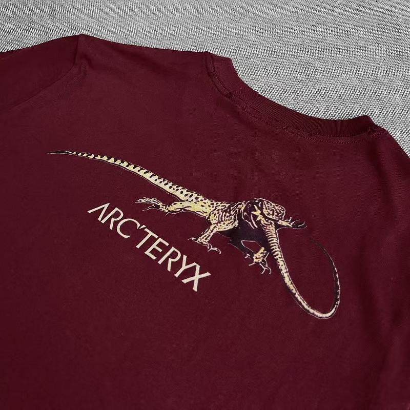 Vintage Arcteryx Retro Tee 9