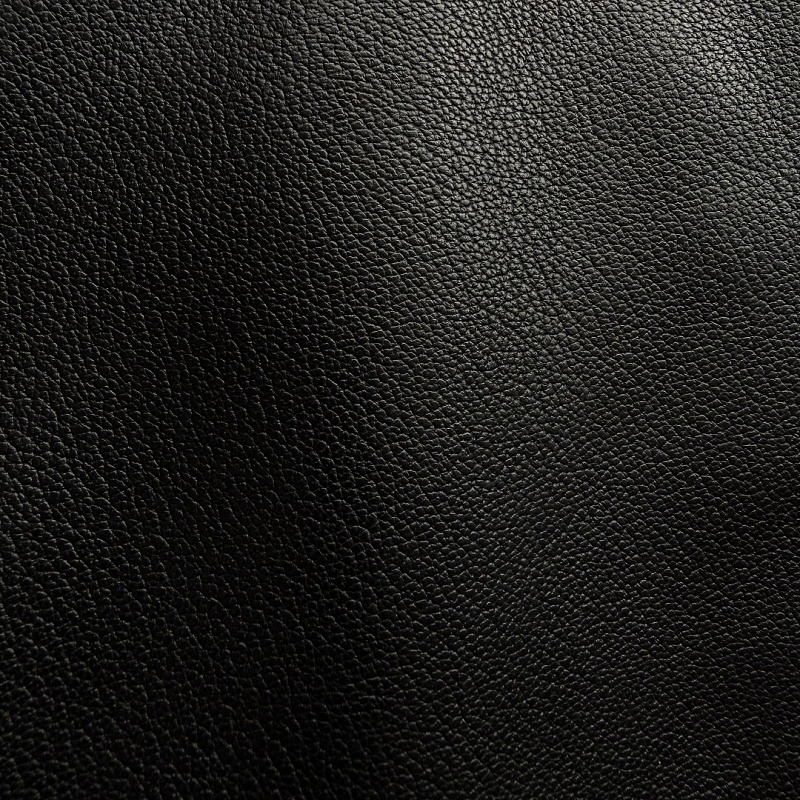 Fyredwrld Leather Jacket 2