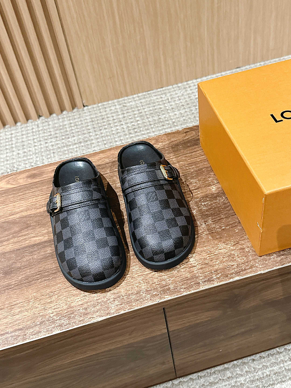 Louis Vuitton 6