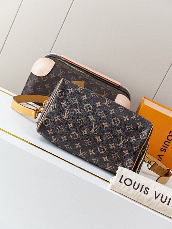 Louis Vuitton 8