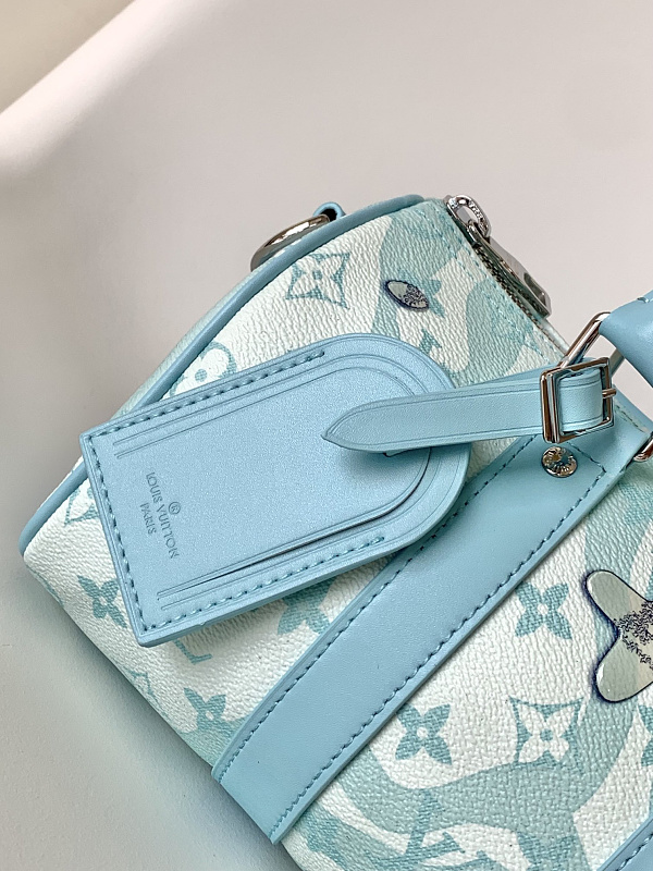 Louis Vuitton 5