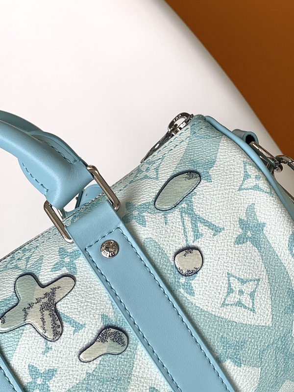 Louis Vuitton 3