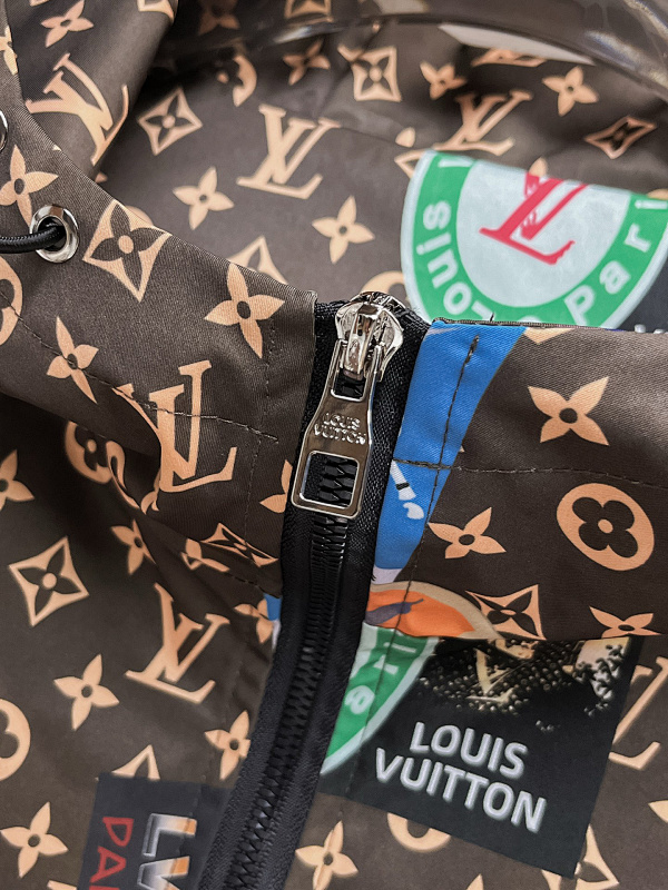 Louis Vuitton 6