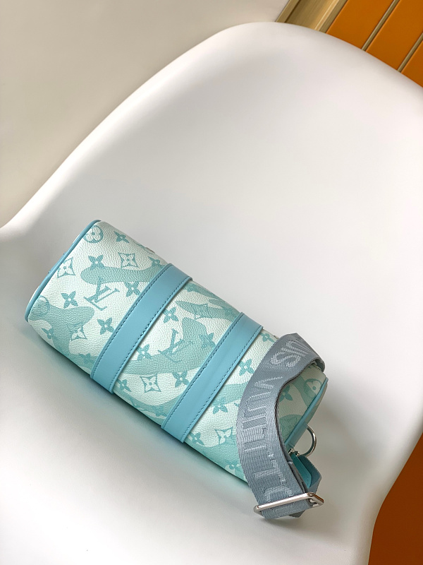 Louis Vuitton 6