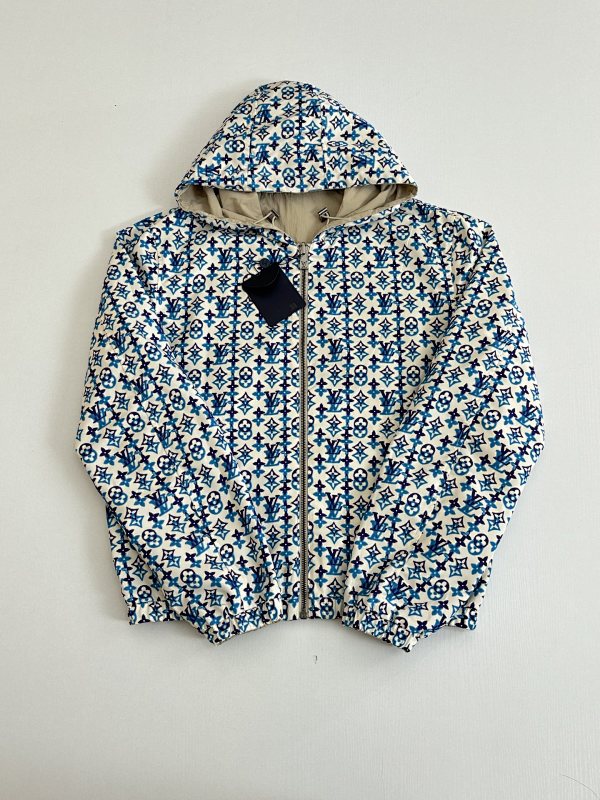 Louis Vuitton 6