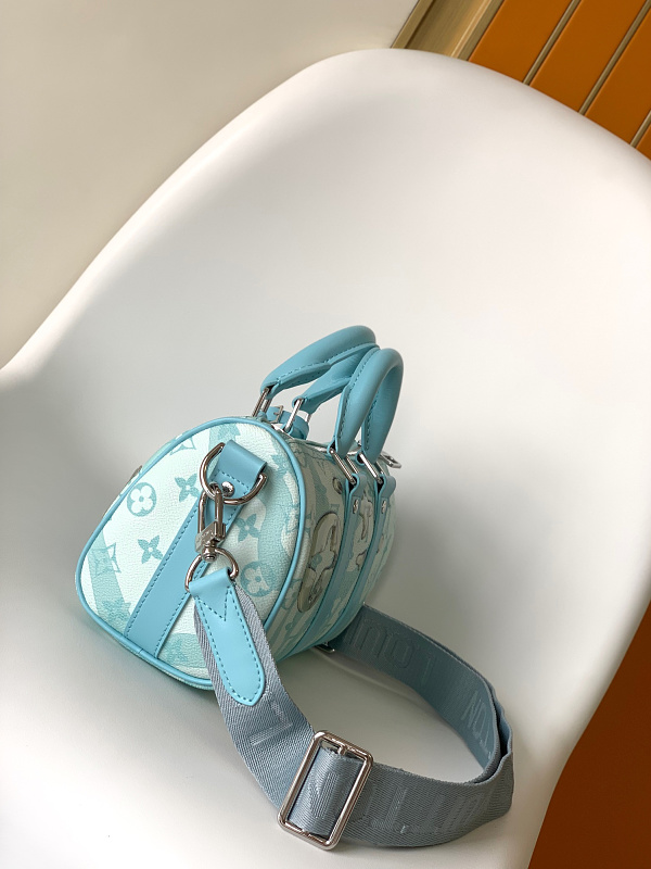 Louis Vuitton 8