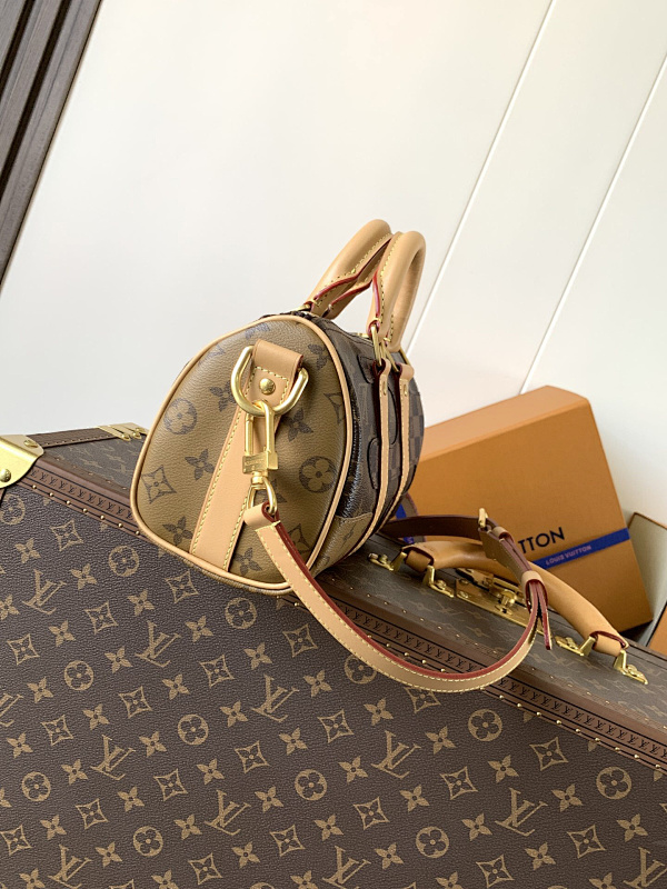 Louis Vuitton 6