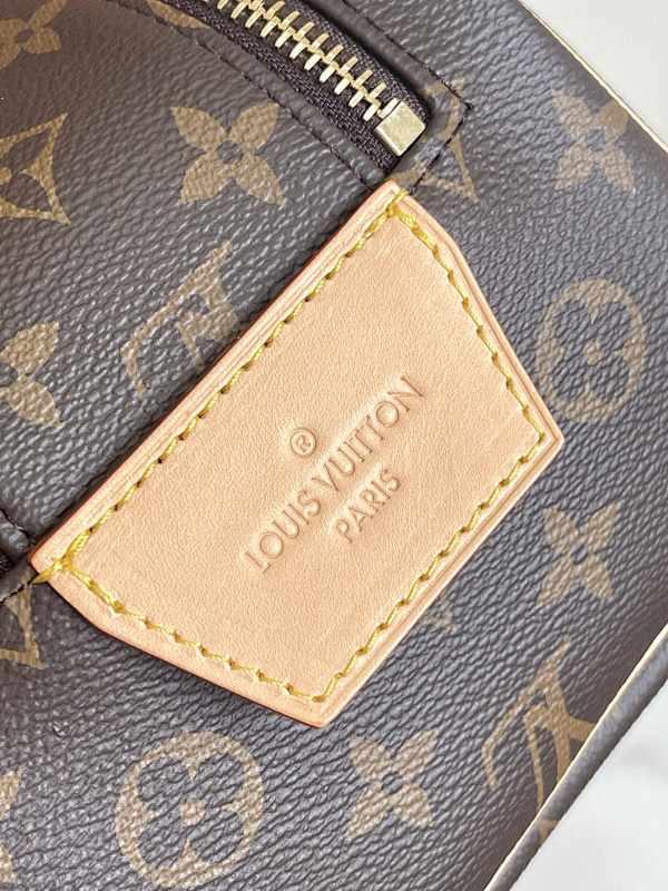 Louis Vuitton 6