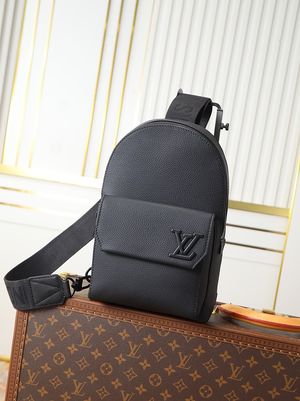 Louis Vuitton 6