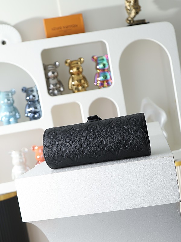 Louis Vuitton 6