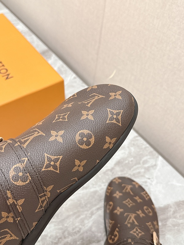 Louis Vuitton 6