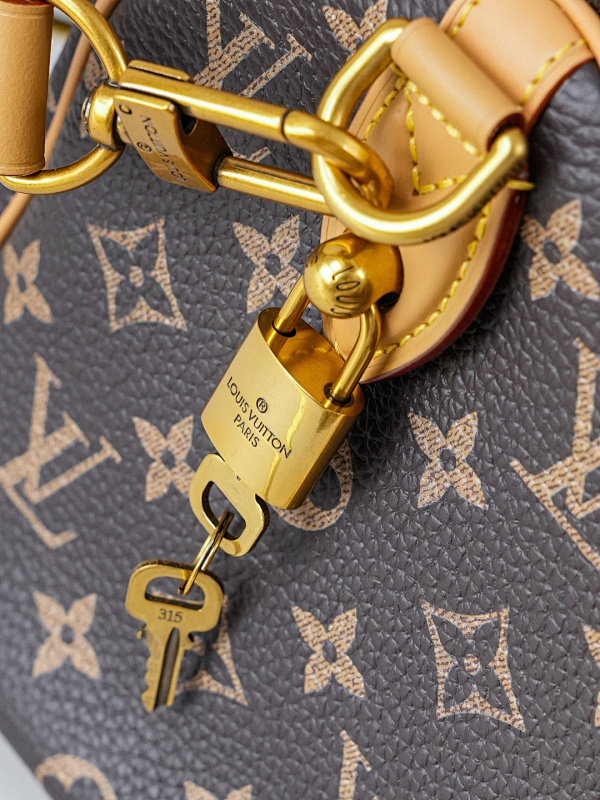 Louis Vuitton 6