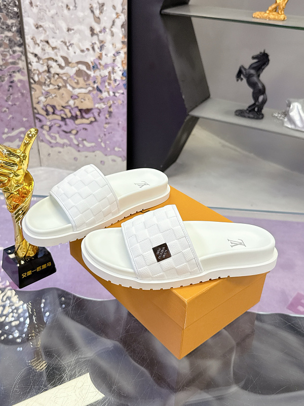Louis Vuitton 6