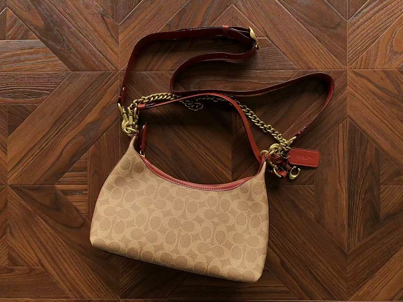 C⭐a⭐h Bag 11
