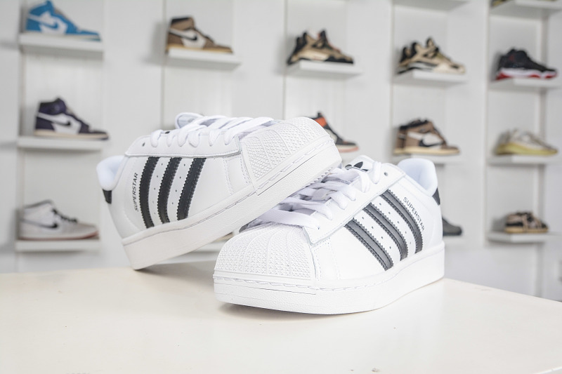 R107063-H30 5