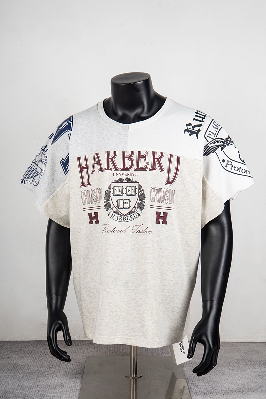 R107378-H33 2
