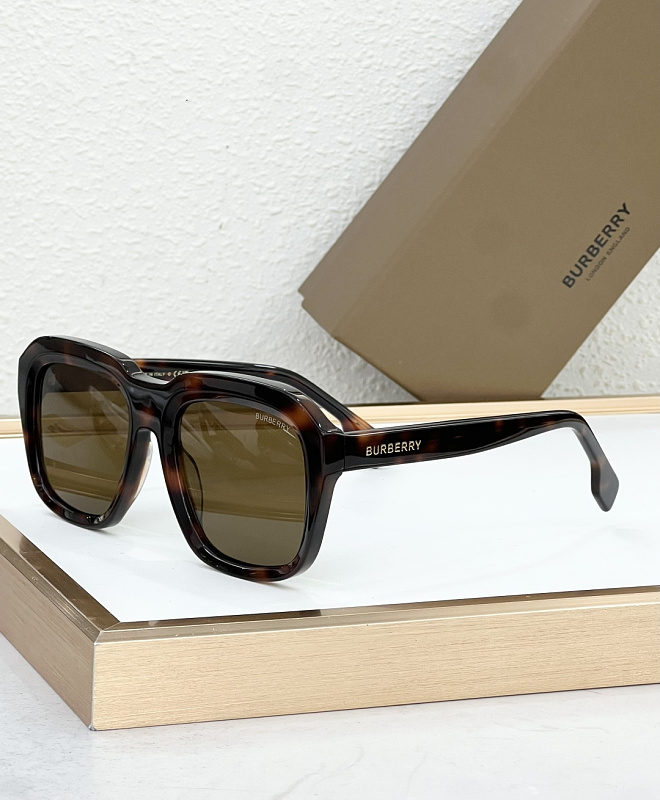 P450 - BE4350 · 5