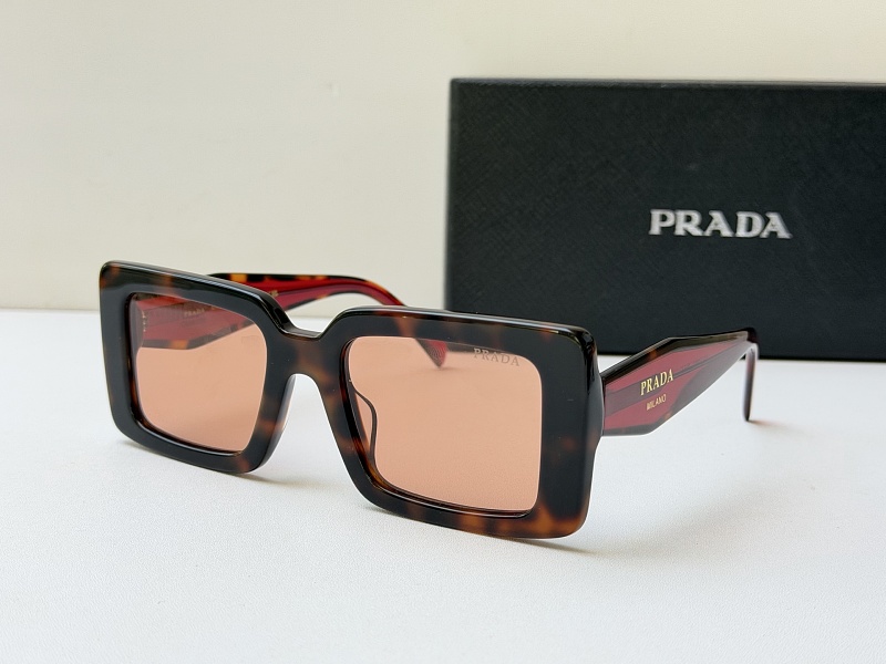 P350 - PR 2198S · 3