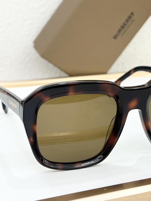 P450 - BE4350 · 4