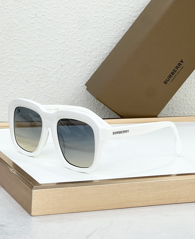 P450 - BE4350 · 6
