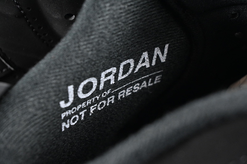 Jordan 6 Infrared 2025 4