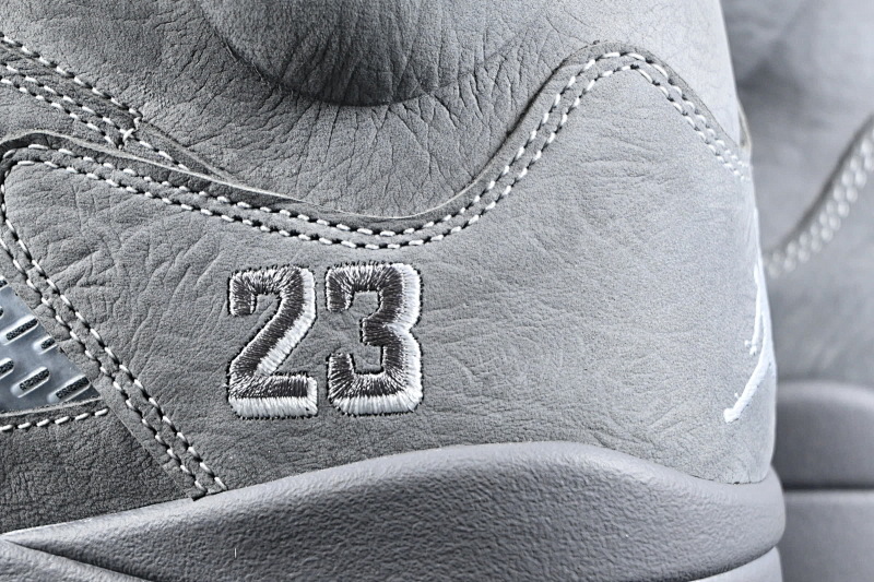 Jordan 5 Sneakers 3