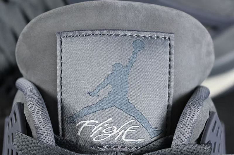 Jordan 4 Sneakers 5