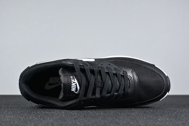 Air Max 90 6