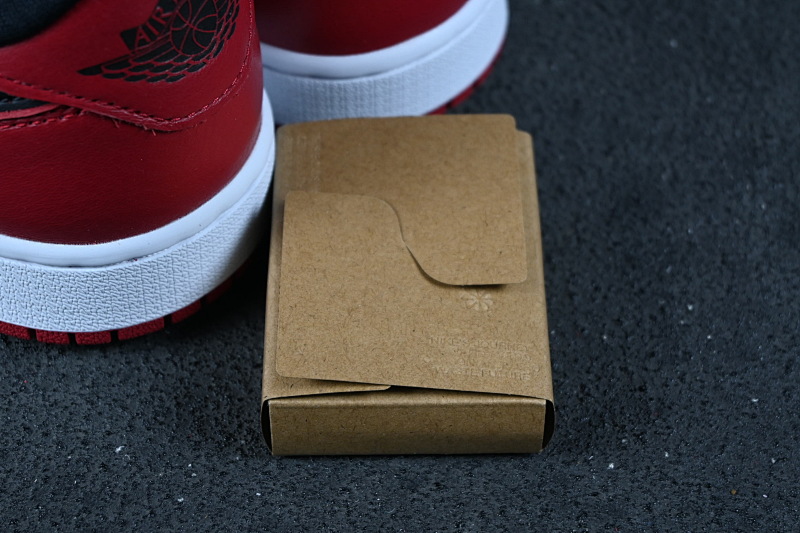 Pk Aj1 Low 2025 Chicago 3