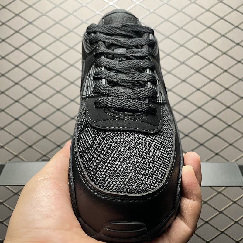 Air Max 90 10
