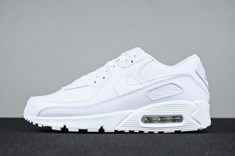 Air Max 90 10
