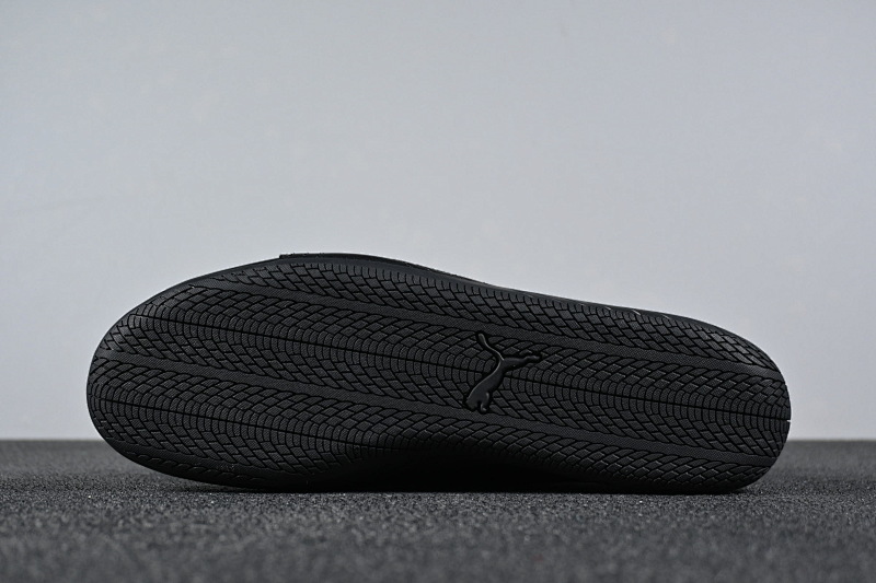 Puma · 6