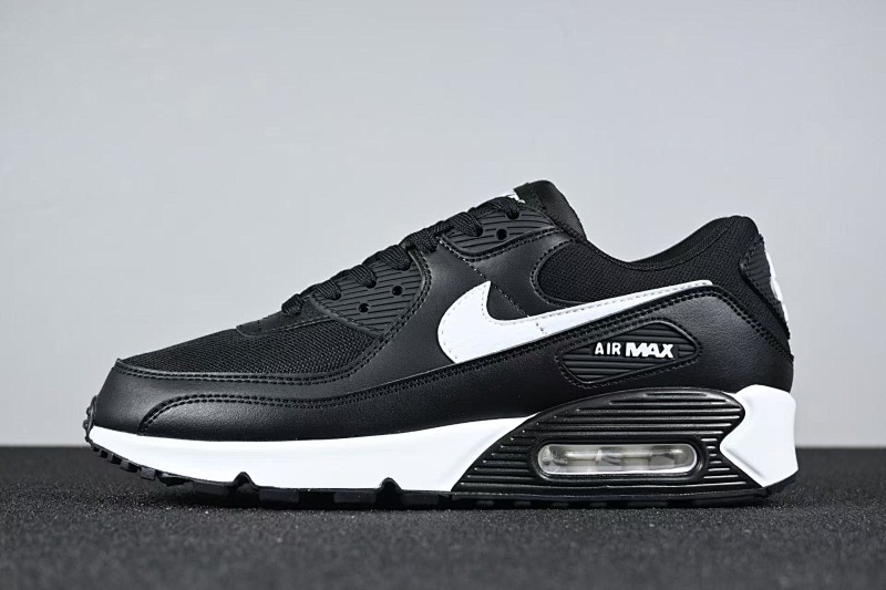 Air Max 90 10