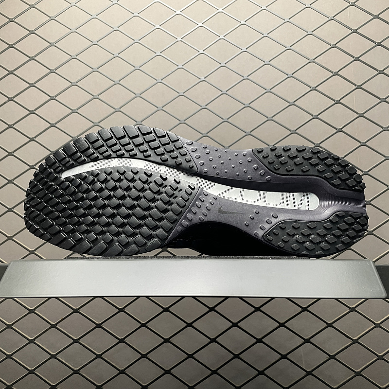 Nk Pegasus Premium 2