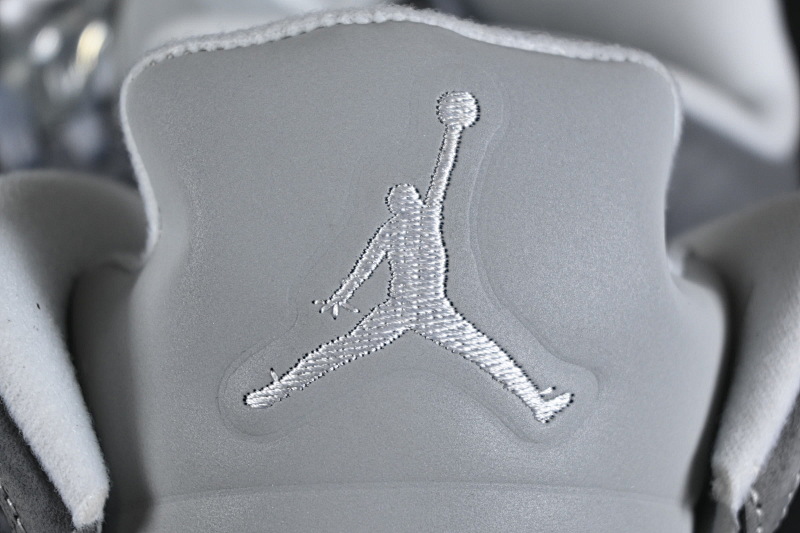 Jordan 5 Sneakers 6