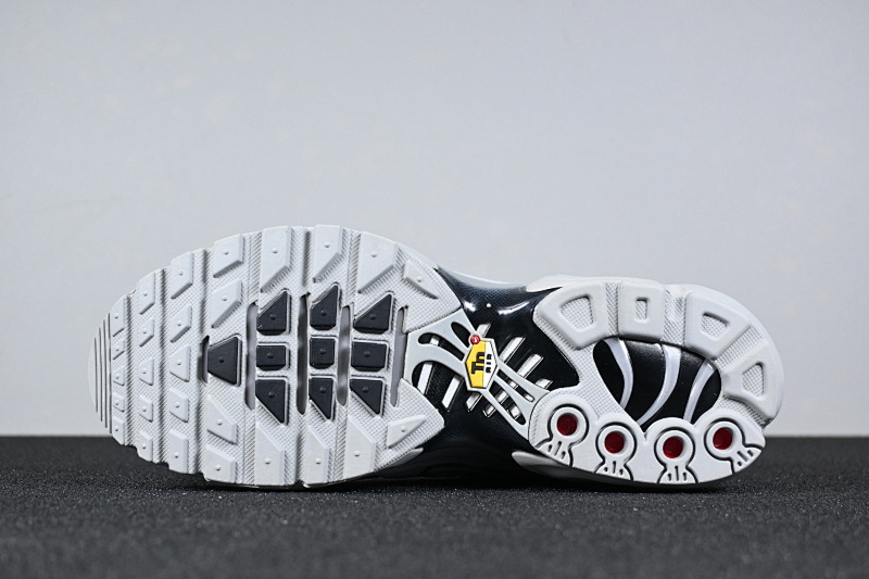 Air Max TN 5