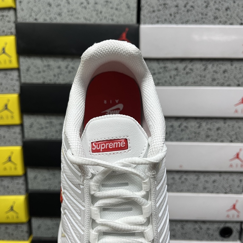 Air Max Plus TN 5