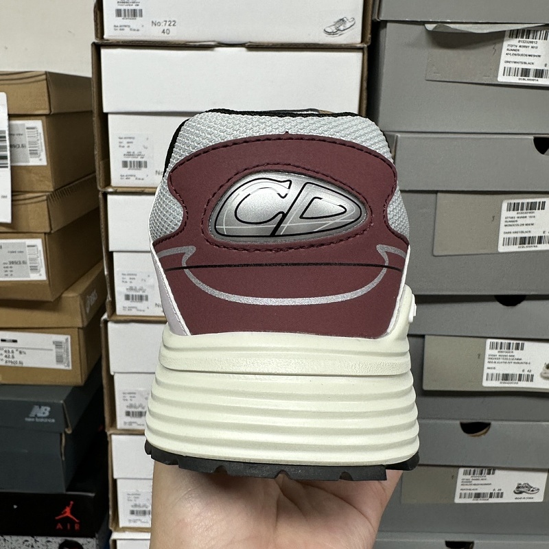 Dior B30 Sneakers 2