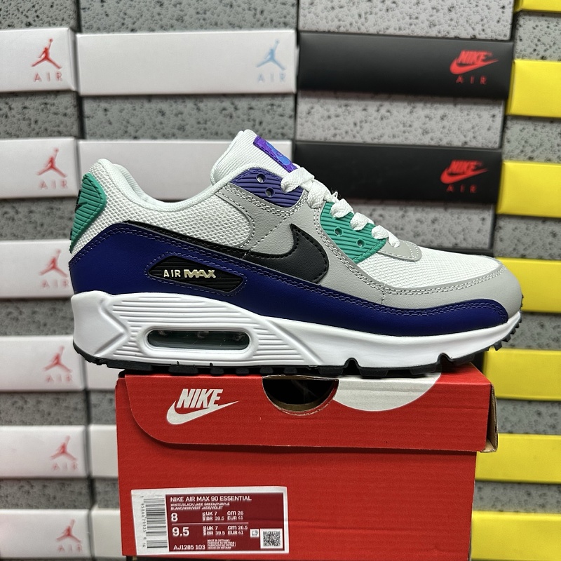 Air Max 90 10