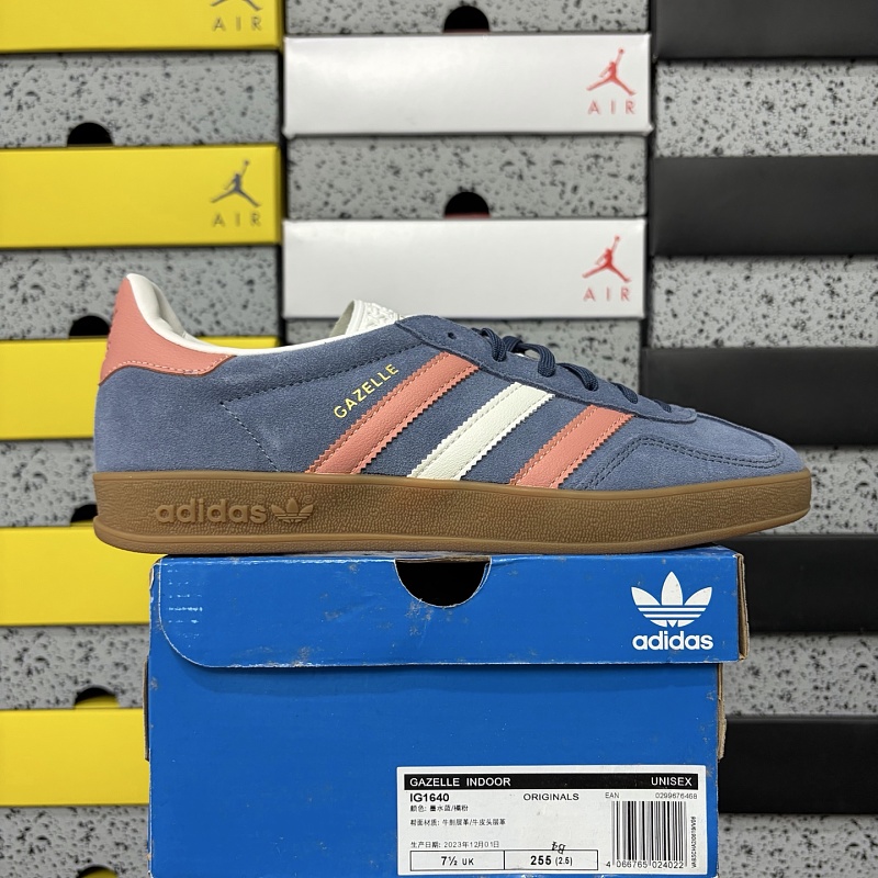 Gazelle Indoor 9