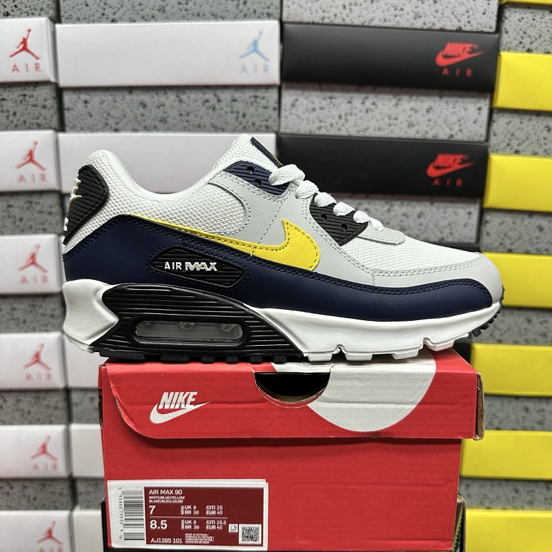 Air Max 90 10